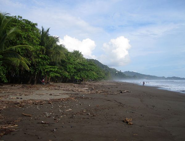 Playa Dominical Costa Rica